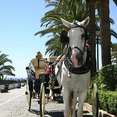 Beachside Luxury In Puerto Banus - Club Playas Del Duque *