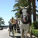 Beachside Luxury In Puerto Banus - Club Playas Del Duque *