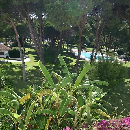 Beach Side Luxury Apartment In Puerto Banus - Club Playas Del Duque Marbella