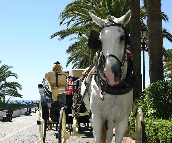 Beachside Luxury In Puerto Banus - Club Playas Del Duque *